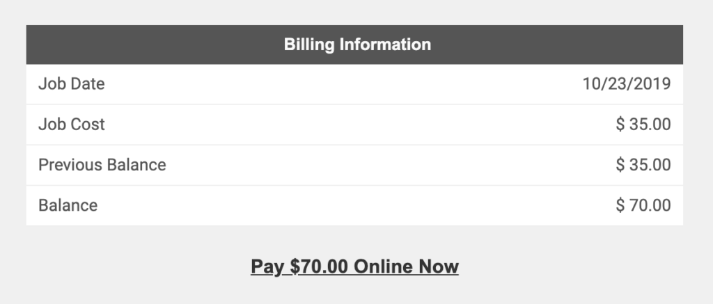 A table filled with billing information. Below it, is a link that says "Pay $70.00 Online Now"